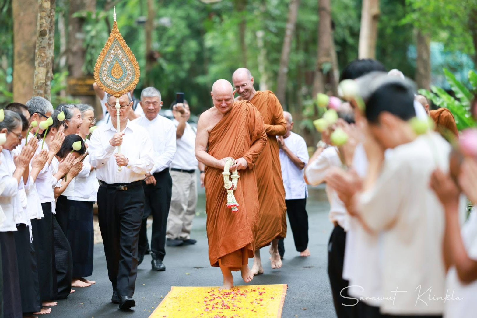 IMAGE - 10093